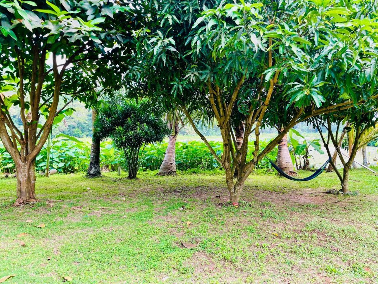 Villa Secret Garden Mirissa Exterior foto
